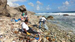 beach cleanup overview