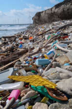 Washed ashore debris