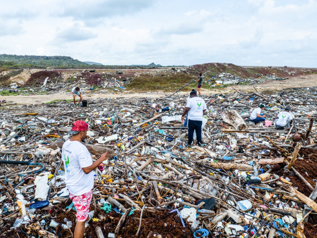 Beach Clean Up