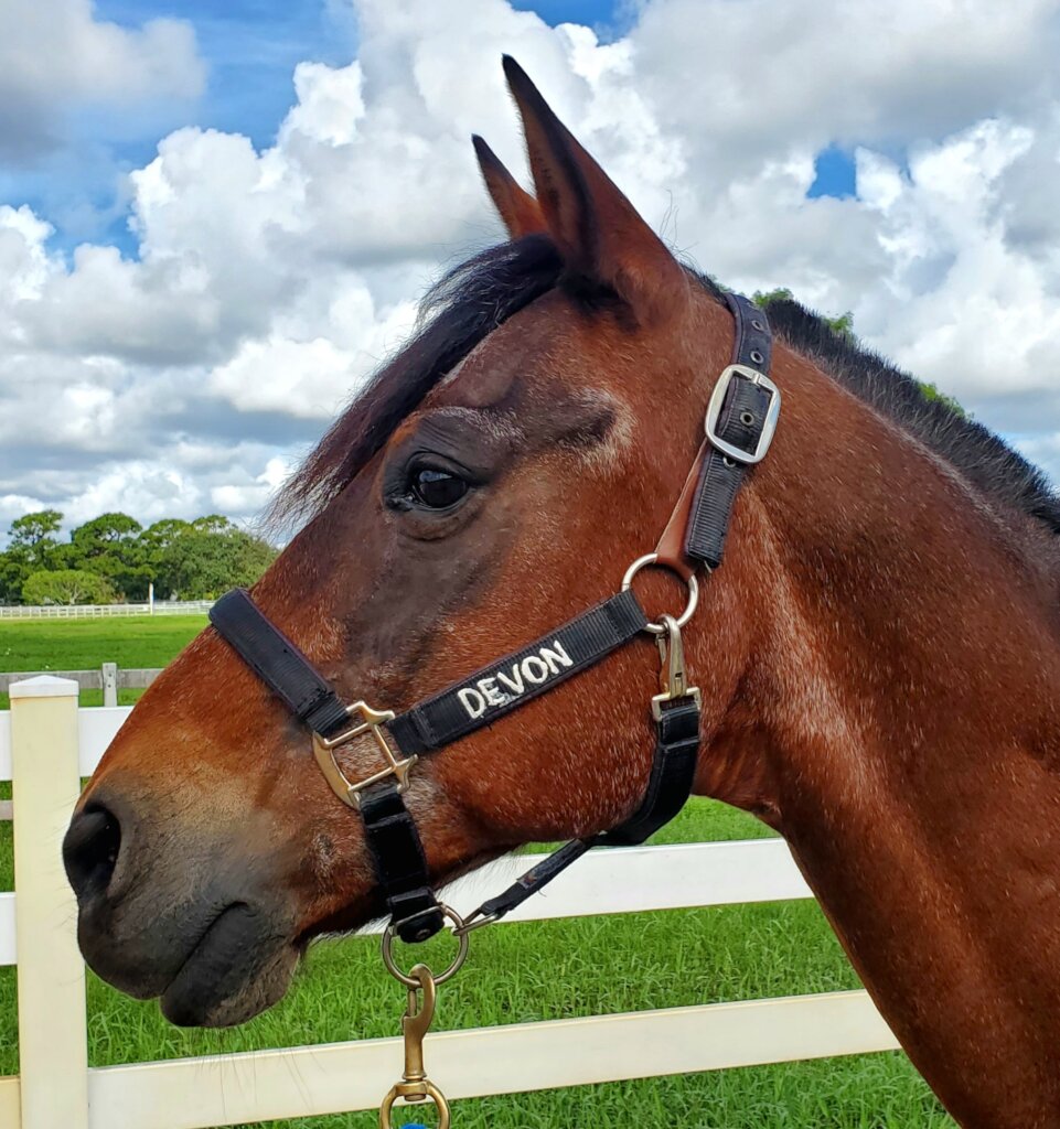 Help Max & Devon Retire to a New Home