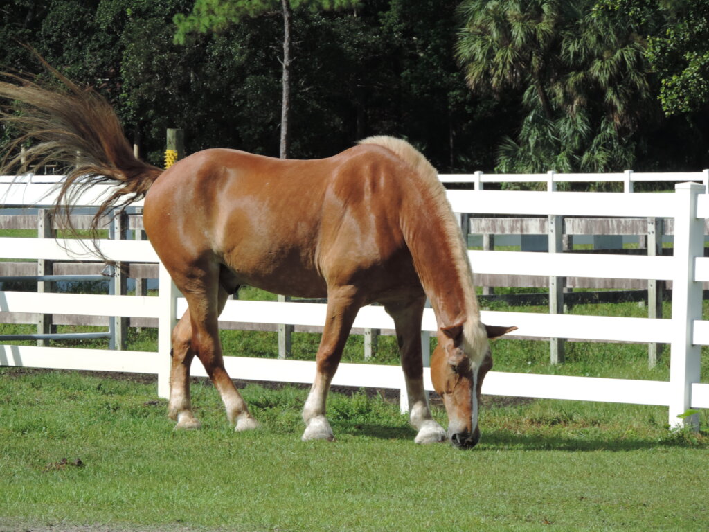 Help Max & Devon Retire to a New Home