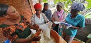 Dye training