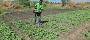 Solar Water Pump And Irrigation Project