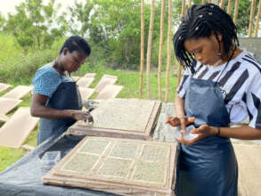 Papermaking in Progress