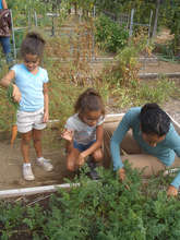 Bianca shows the girls Heirloom Carrots