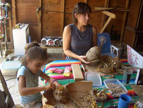 Harvesting sunflower seeds