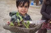 Gratitude Gardens, global, biodiverse home farms