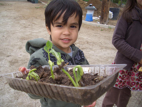 Gratitude Gardens, global, biodiverse home farms