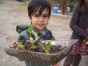 Gratitude Gardens, global, biodiverse home farms