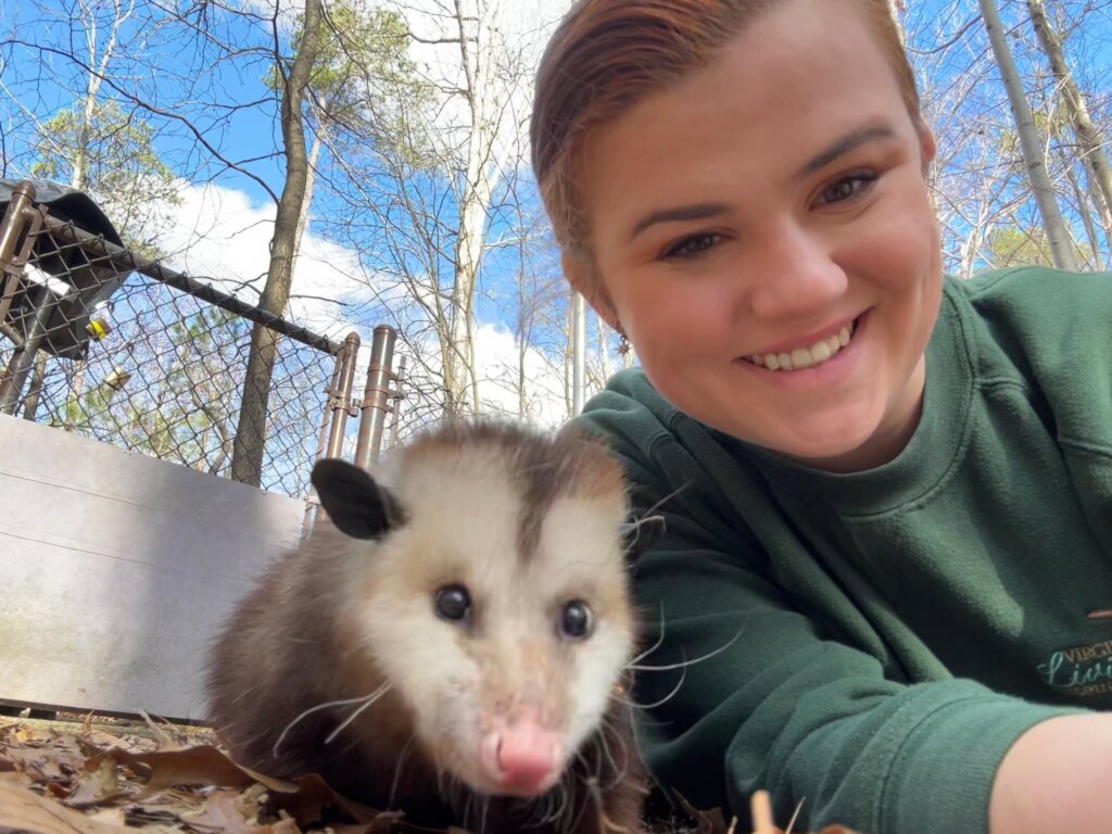 Care for Wildlife at the Virginia Living Museum