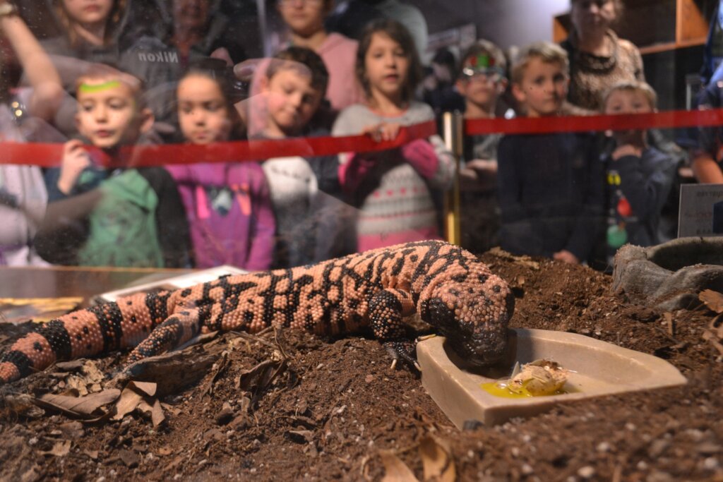 Care for Wildlife at the Virginia Living Museum