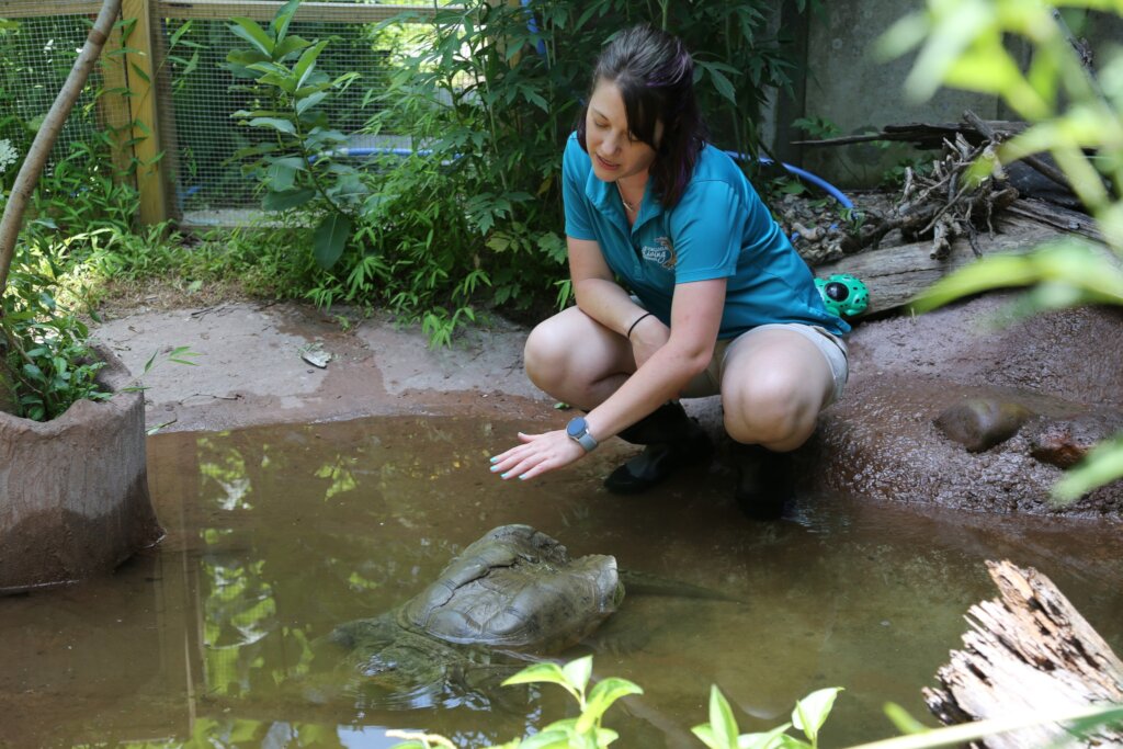 Care for Wildlife at the Virginia Living Museum