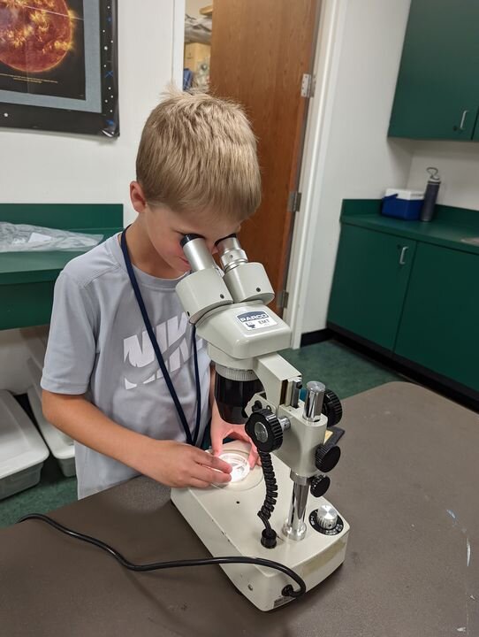 Care for Wildlife at the Virginia Living Museum