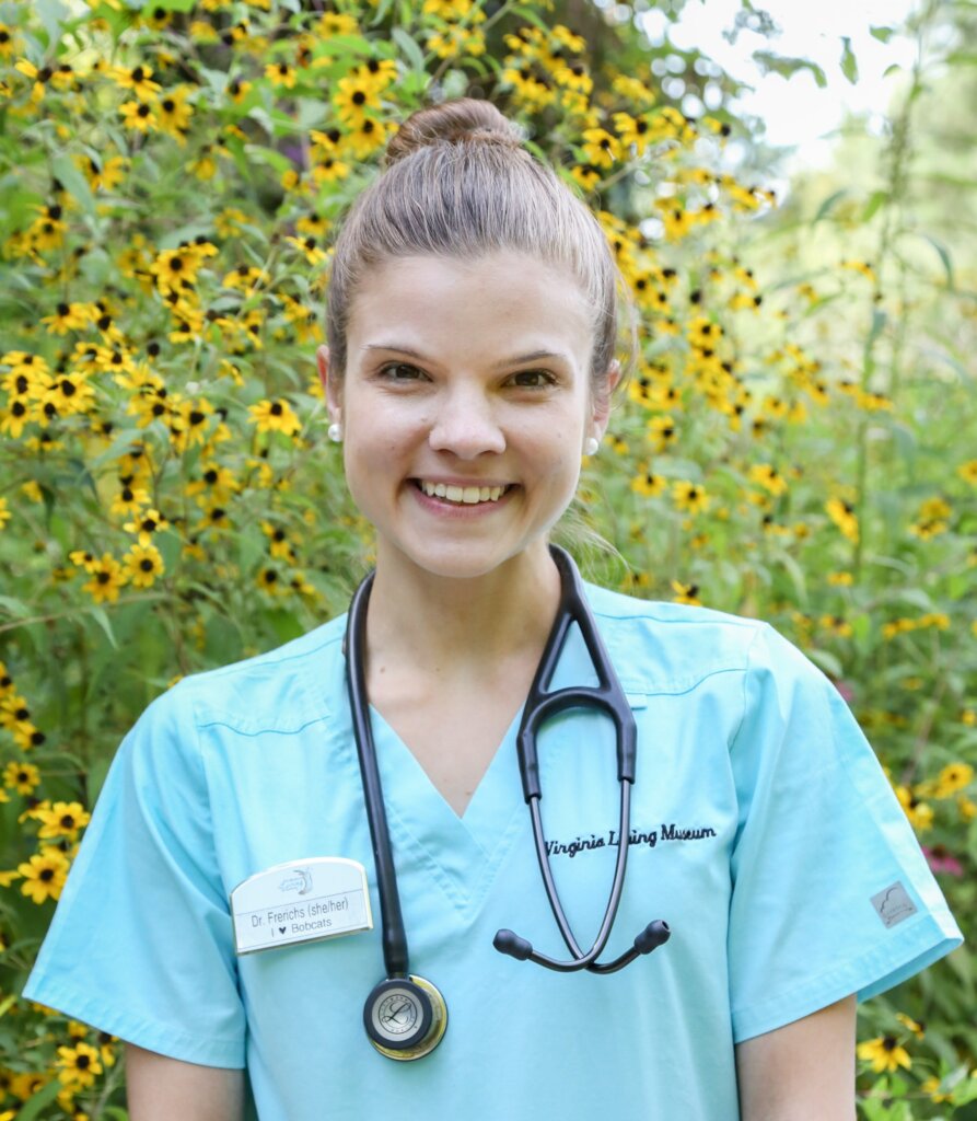 Care for Wildlife at the Virginia Living Museum