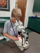 Science education at the museum