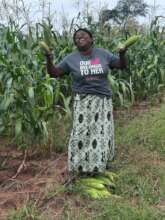 Mercy delighted with the corn crop this year