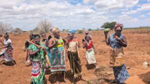 Women in Kilifi County harvesting vegetables