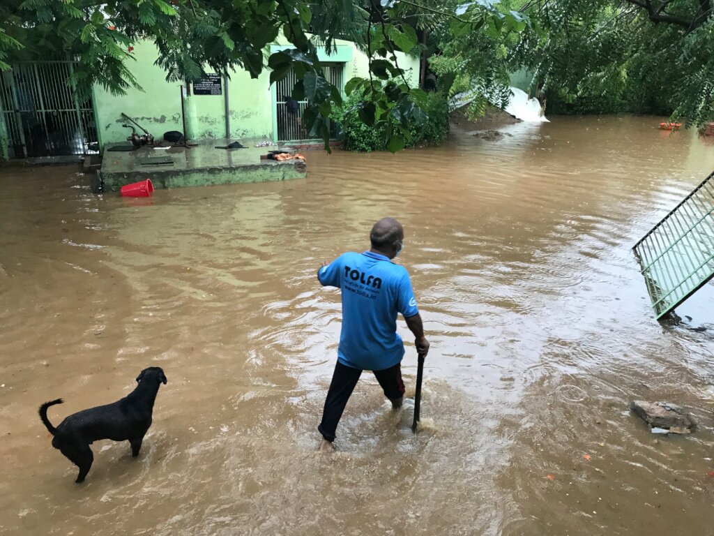 Building Works To Flood-Proof Our Animal Hospital