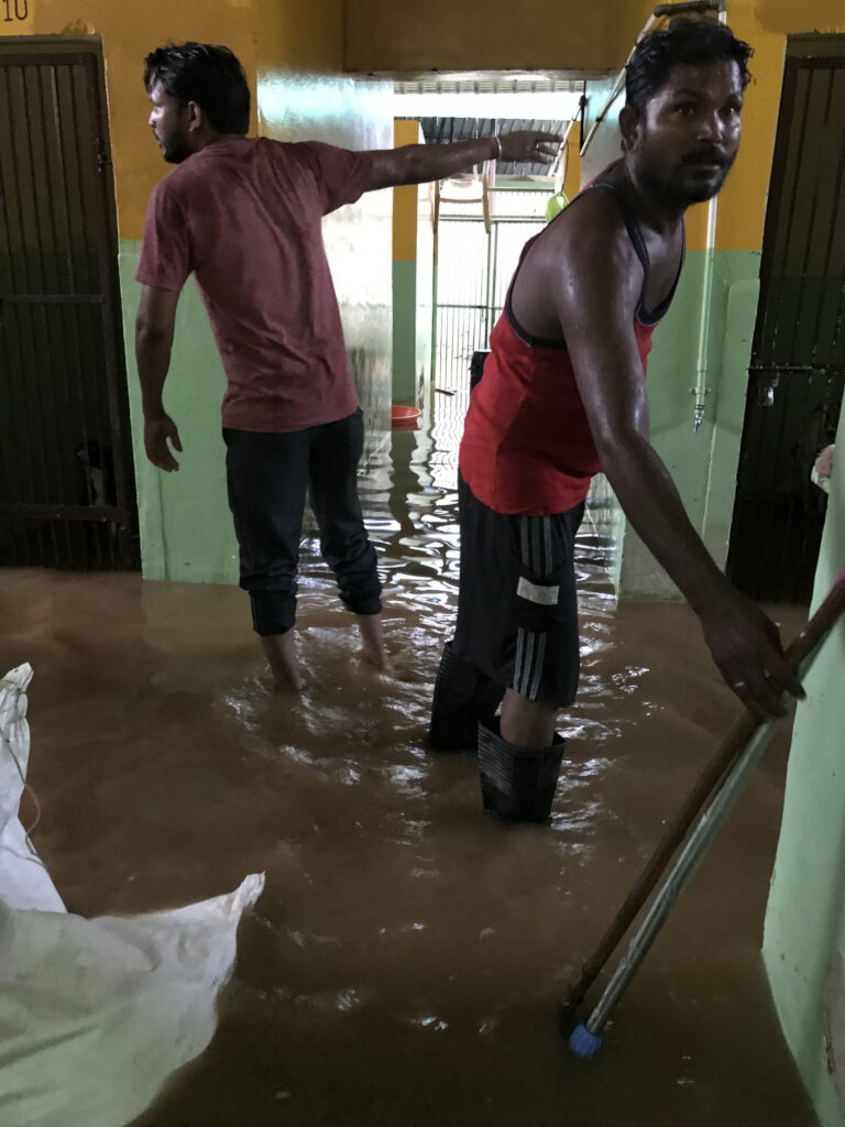 Building Works To Flood-Proof Our Animal Hospital