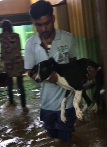 Building Works To Flood-Proof Our Animal Hospital