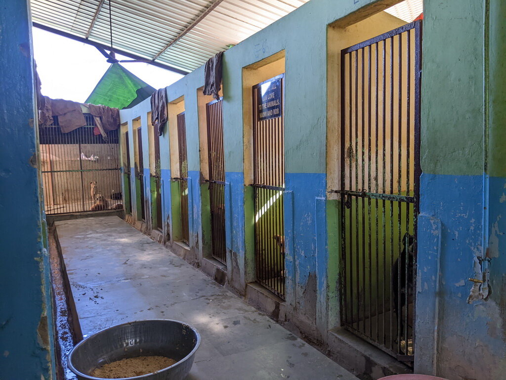 Building Works To Flood-Proof Our Animal Hospital