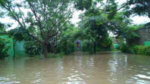 TOLFA under water 2021