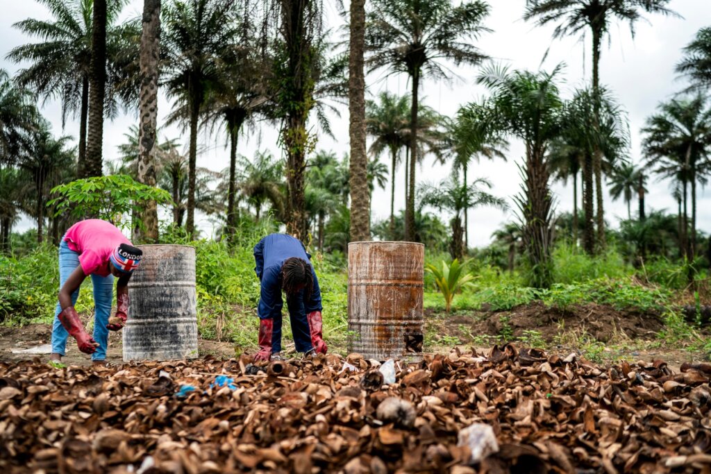 Fighting Deforestation Using Coconut Husk Charcoal