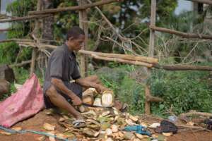 Fighting Deforestation Using Coconut Husk Charcoal