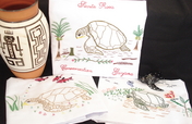 Amerindian entrepreneurs for Guyana's sea turtles