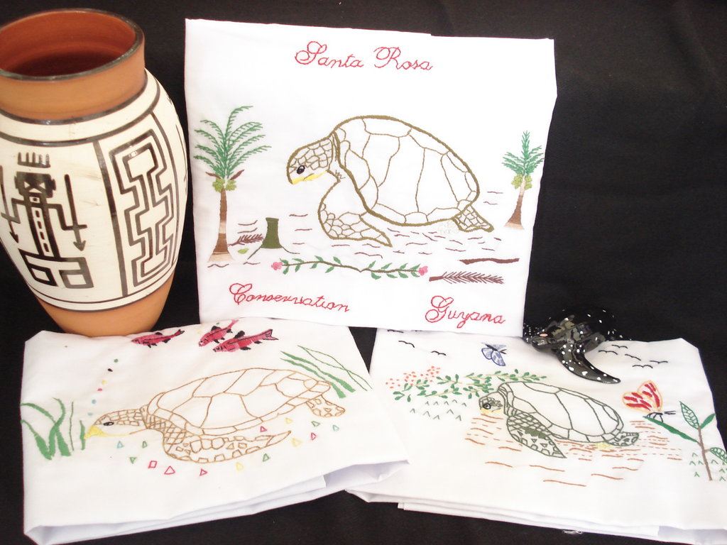 Amerindian entrepreneurs for Guyana's sea turtles