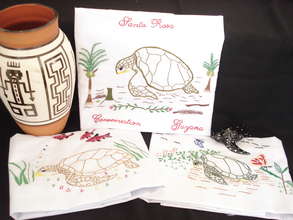 Amerindian entrepreneurs for Guyana's sea turtles