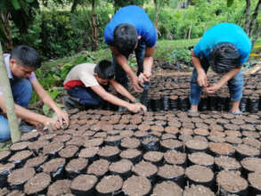Mayan youth creating a native tree nursery