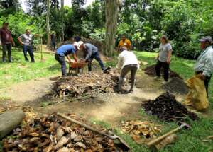 Many hands: leftovers become living soil
