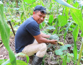 Young leader harvesting organic squash