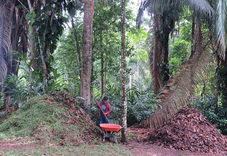 Youth leader preparing leaf mold to enhance soil