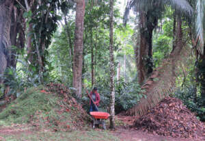 Youth leader preparing leaf mold to enhance soil