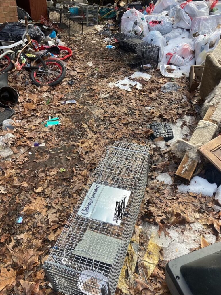 Conditions some community cats live in.