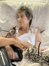 A rescue kitten brings joy to a hospice patient.