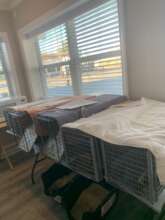 Spay/Netuer recovery area