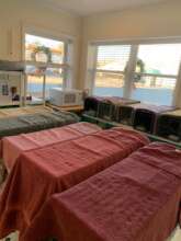 Spay/Netuer recovery area 2