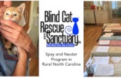 Change Lives: Spaying & Neutering Cats Works!