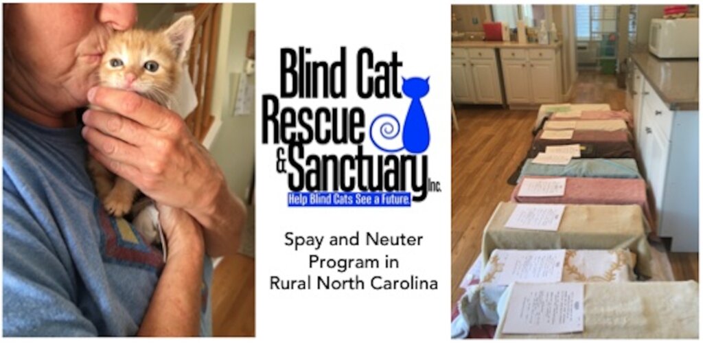 Change Lives: Spaying & Neutering Cats Works!