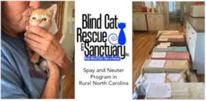 Change Lives: Spaying & Neutering Cats Works!
