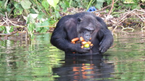 Connie eating fruits during one of the feedings