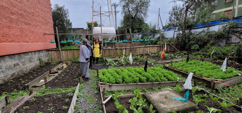 Free Childcare Service for poor mother in Ethiopia
