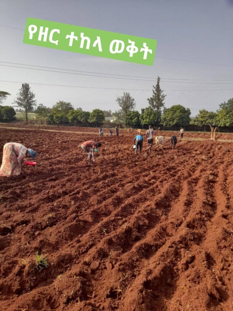 Free Childcare Service for poor mother in Ethiopia