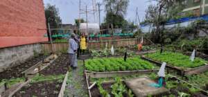 Alternative food production founded by GG & partn