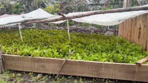 Alternative food production founded by GG & partn