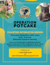 Volunteer Meeting Notice