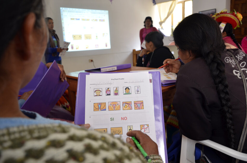 Promote Indigenous Women's Health in Rural Peru